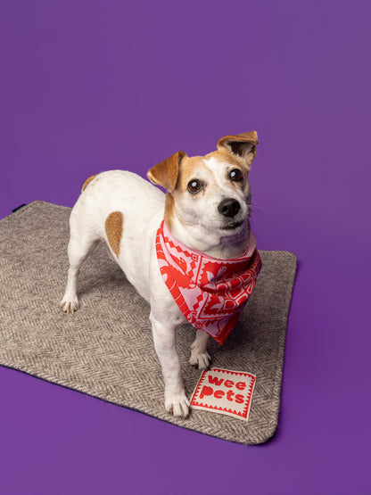 Wee Pets 2027 Calendar
