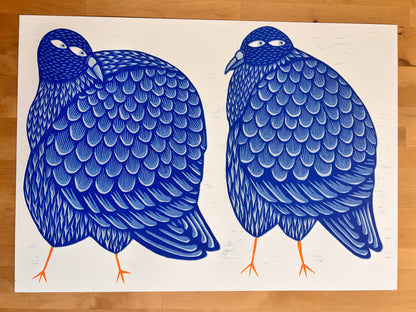 Pigeon Fancier Seconds