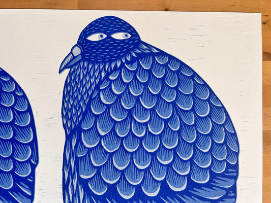 Pigeon Fancier Seconds