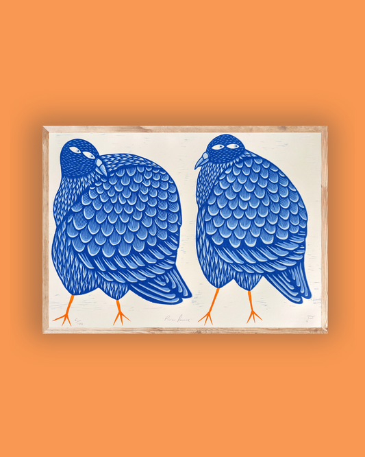 Pigeon Fancier